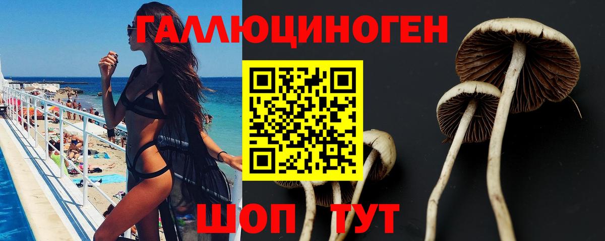 Галлюциногенные грибы GOLDEN TEACHER  Вход с VPN  Братск 