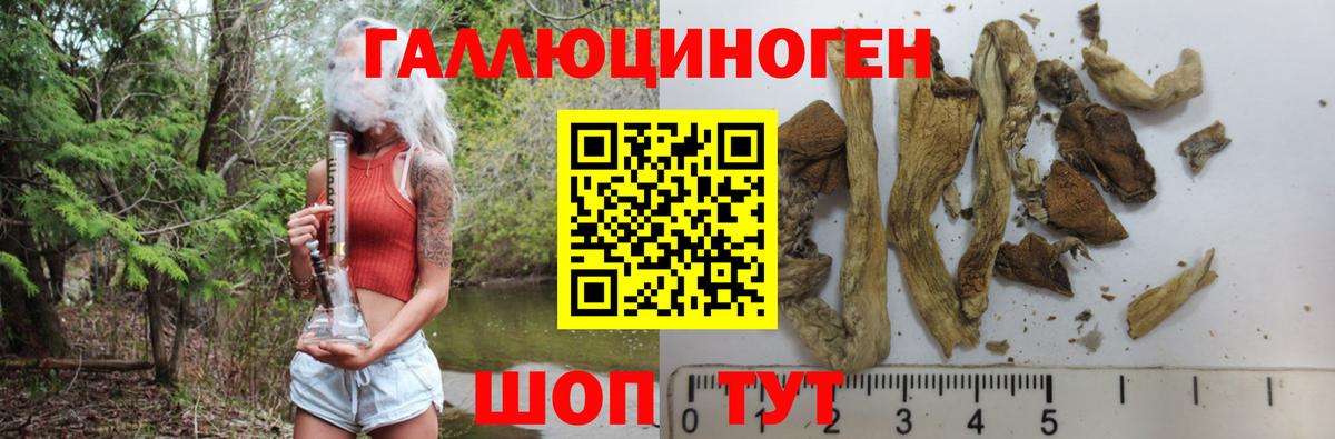 Псилоцибиновые грибы ЛСД Братск